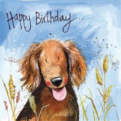 Picture of BERTIE BIRTHDAY CARD