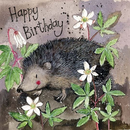 Picture of MR PRICKLY BIRTHDAY CARD
