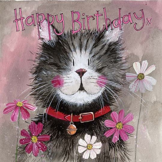 Image sur WHISKERS BIRTHDAY CARD