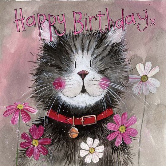 Bild von WHISKERS BIRTHDAY CARD