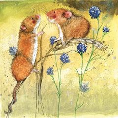 Picture of HARVEST MICE BLANK CARD