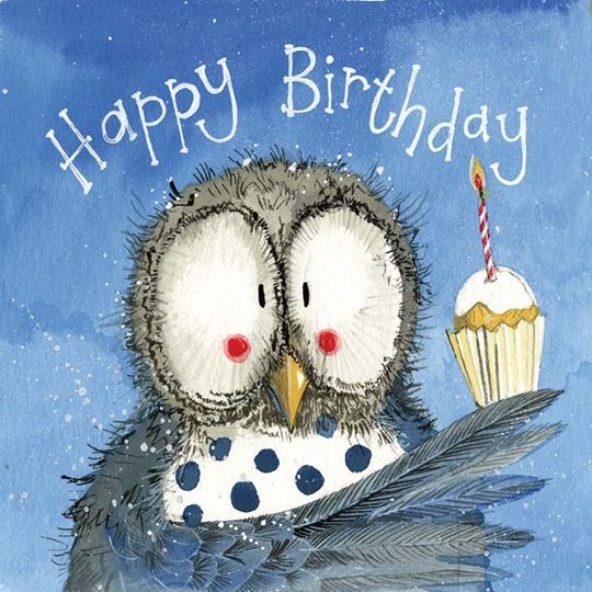 Picture of OWL & CUP CAKE BIRTHDAY CARD