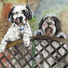 Bild von FENCE BLANK CARD