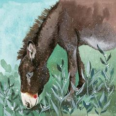 Image de DONKEY MEADOW BLANK CARD