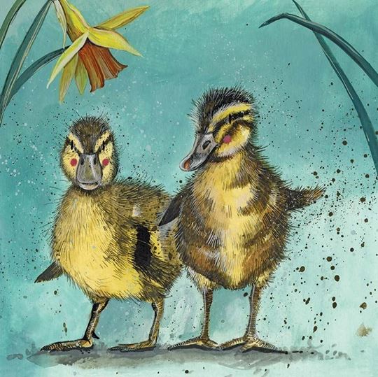 Image sur DUCKLINGS BLANK CARD