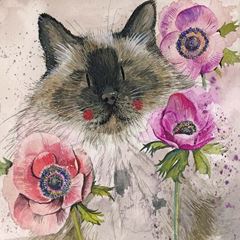 Bild von CAT IN THE ANENOMES BLANK CARD