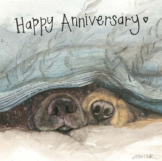 Image sur SNOUTS ANNIVERSARY CARD