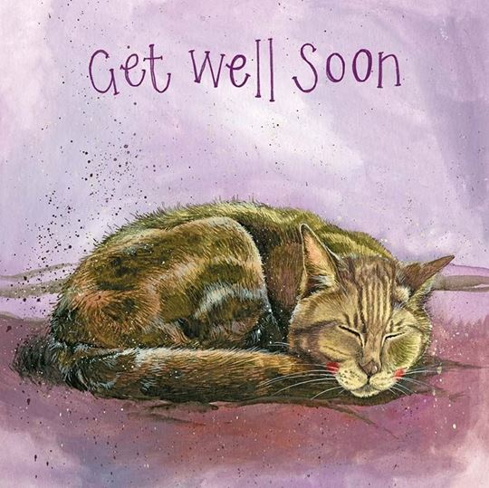 Bild von MAVIS GET WELL SOON CARD