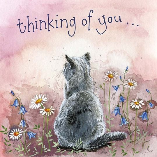 Image sur CAT & MEADOW FLOWERS THINKING OF YOU CARD