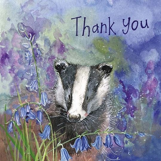 Image sur BLUEBELL BADGER THANK YOU CARD