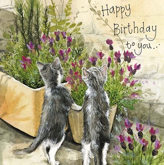 Image sur IN THE LAVENDER BIRTHDAY CARD