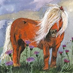 Image de SHETLAND PONY BLANK CARD