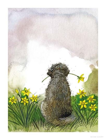 Picture of DOODLE AND DAFFODILS
