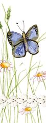 Bild von BUTTERFLY BOOKMARK