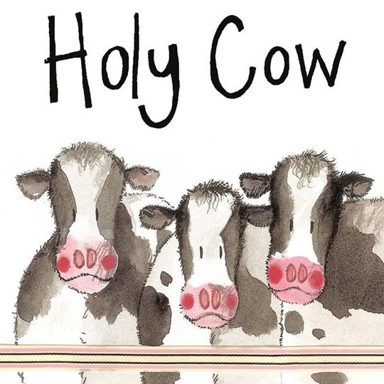 Image sur HOLY COW COASTER