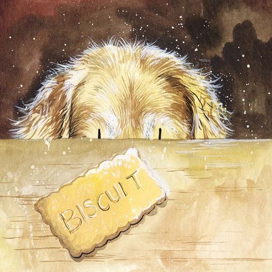 Bild von BISCUIT COASTER