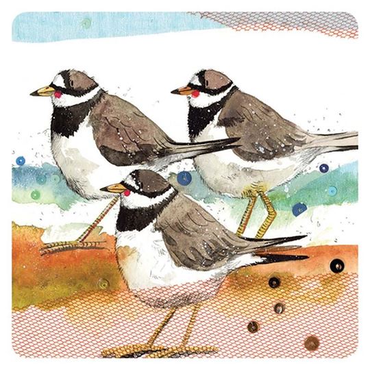 Bild von RINGED PLOVERS COASTER