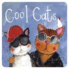 Bild von COOL CATS