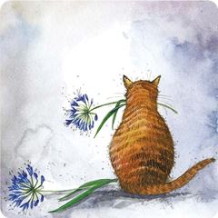 Picture of CAT AND AGAPANTHUS