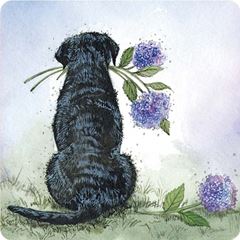 Picture of LABRADOR AND HYDRANGEAS