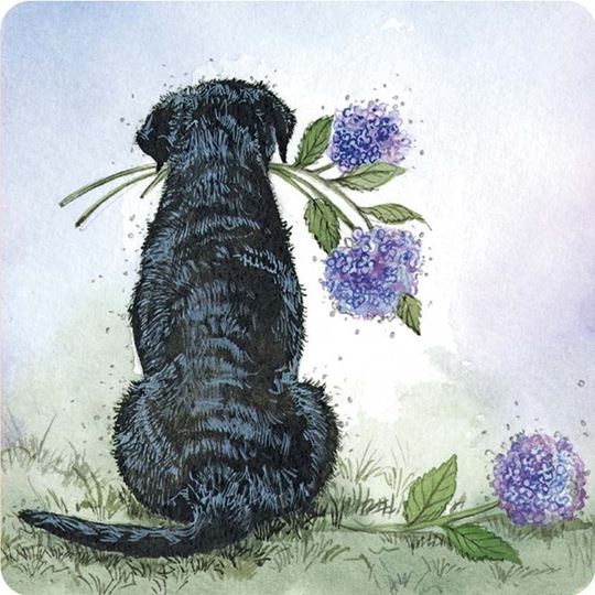 Bild von LABRADOR AND HYDRANGEAS