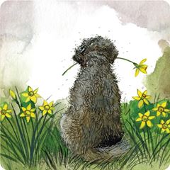 Picture of DOODLE AND DAFFODILS