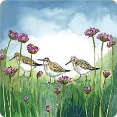 Picture of DUNLIN AND THRIFT