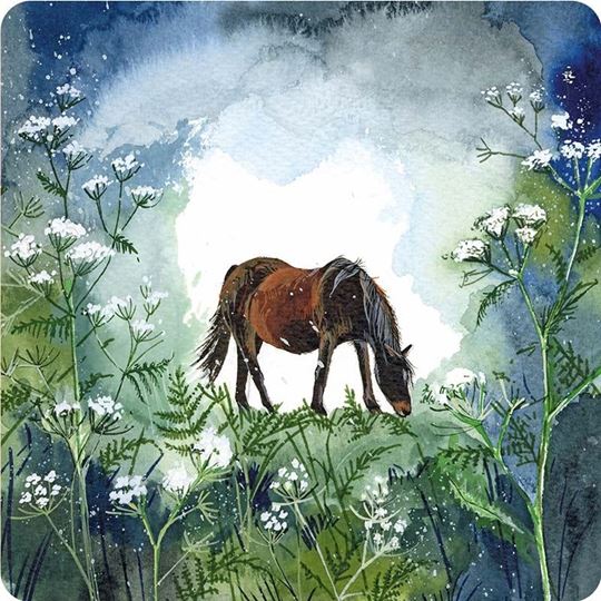 Bild von HORSE AND COW PARSLEY