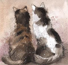 Image de TILLY AND TABBY