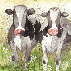 Image de CURIOUS COWS