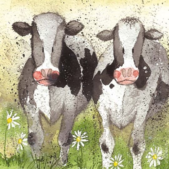 Image sur CURIOUS COWS