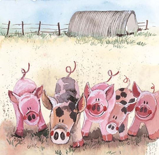 Image sur FIVE LITTLE PIGS