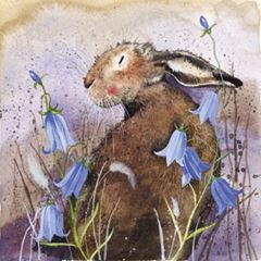 Picture of HARE AND BLUEBELL COASTER