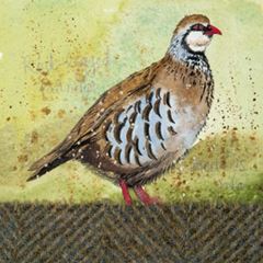 Bild von RED LEGGED PARTRIDGE COASTER