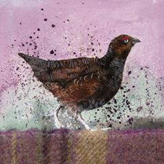 Picture of RED GROUSE COASTER