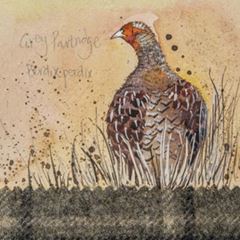 Picture of GREY PARTRIDGE COASTER