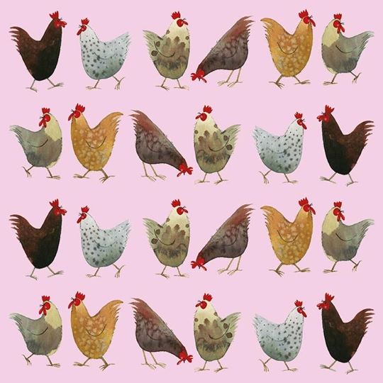 Image sur CHICKENS COASTER