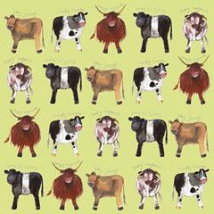 Picture of COWS COASTER