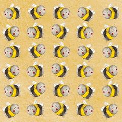 Image de BEES COASTER