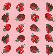 Image de LADYBIRDS COASTER