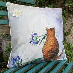 Picture of CAT AND AGAPANTHUS