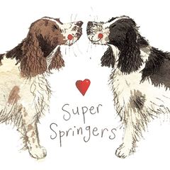 Bild von SUPER SPRINGERS FRIDGE MAGNET