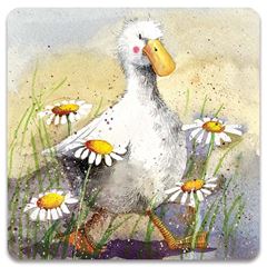 Picture of DUCK IN THE DAISIES