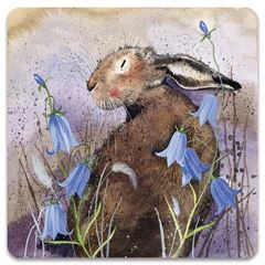 Bild von HARE AND HAREBELL