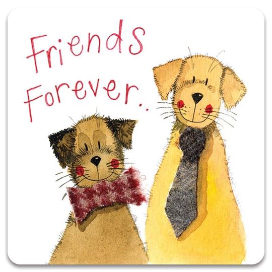 Bild von FRIENDS FOREVER