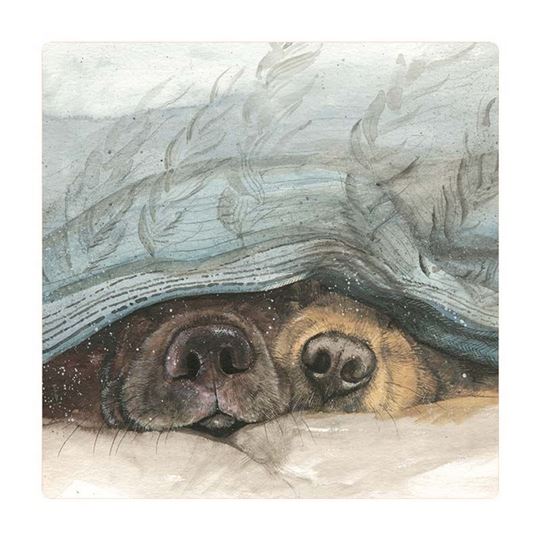 Picture of SNOUTS
