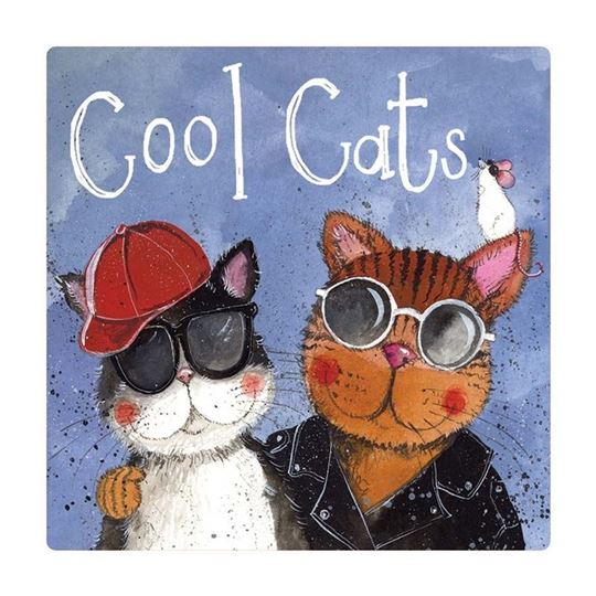 Bild von COOL CATS