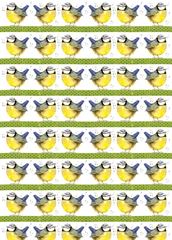 Picture of BLUE TIT GIFT WRAP