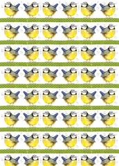 Bild von BLUE TIT GIFT WRAP