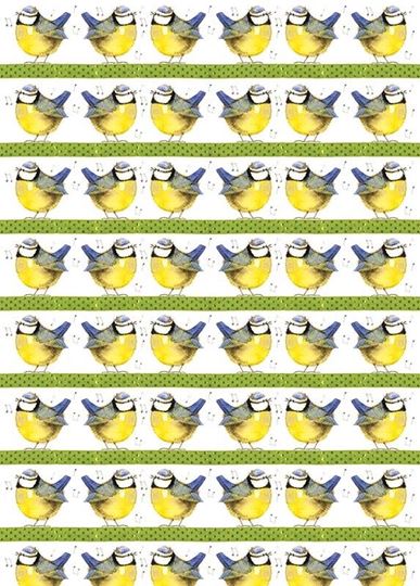 Picture of BLUE TIT GIFT WRAP